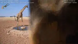 投稿の添付画像のサムネイル