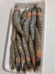 投稿の添付画像のサムネイル
