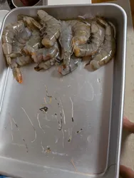 投稿の添付画像のサムネイル