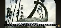 投稿の添付画像のサムネイル